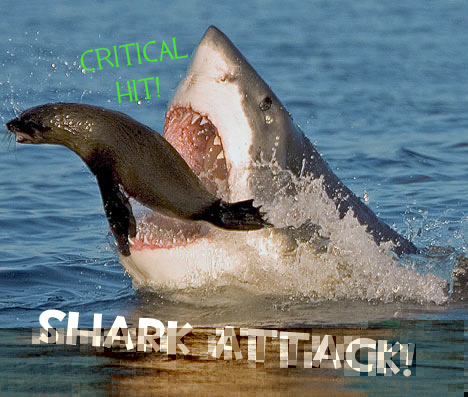 SHARKATTACK.jpg