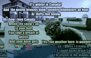 winter in canada.jpg