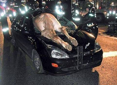 car.jpg