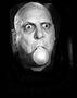 fester.jpg