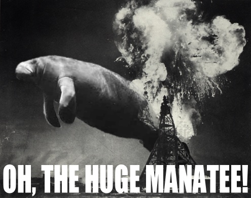 Huge Manatee.jpg