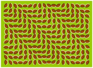 wavy-beans-illusion.jpg