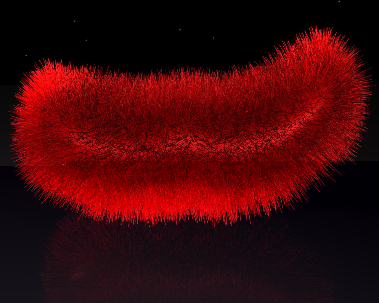 BlenderRedWorm.jpg