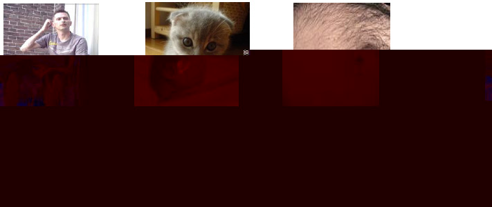 ispca.jpg