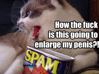 spam.jpg